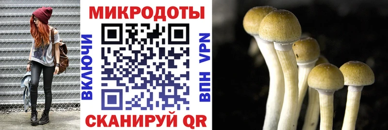 Псилоцибиновые грибы прущие грибы Ладушкин